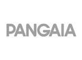 pangaia_web